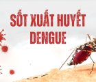 Đã có gần 19.000 ca mắc sốt xuất huyết, bắt đầu vào mùa cao điểm của dịch