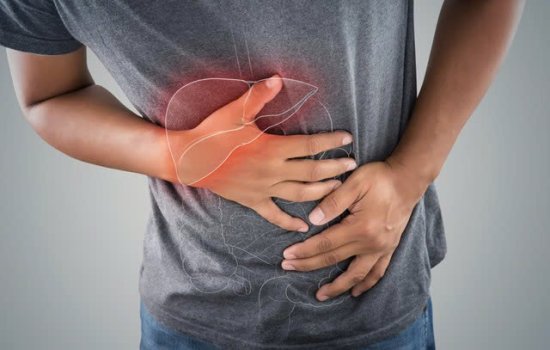 Gan – cơ quan dễ bị tổn thương khi mắc sốt xuất huyết