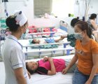 Đã có hơn 86.000 ca mắc sốt xuất huyết, bệnh ngày càng khó lường hơn do biến đổi khí hậu